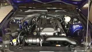 EcoBoost Mustang - Mishimoto Cold Air Intake Install & Review