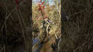 Will finding the Marsh Buck