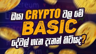 ඔයා Crypto වල මේ Basic දේවල් ගැන දැනන් හිටියද ?