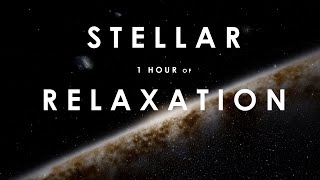 The Stellar Relaxation