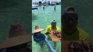 Barbecue time Sandbar. Suscribe