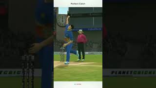 Perfect Catch 🙏🙏🙏 #shorts #cricket #viral