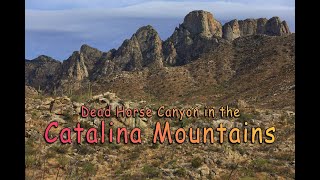 Dead Horse Canyon in the Catalina Mountains (+ Drone)