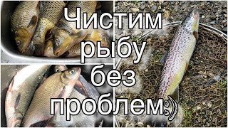 2 ХИТРОСТИ бывалых рыбаков   как без ножа почистить РЫБУ