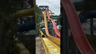 Sliding down a 63 feet slide! #shorts