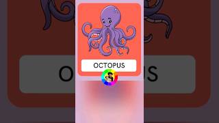 Octopus Flashcard #shorts #seaanimals #octopus