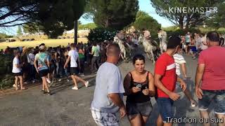 Bandido sernhac parcours ouvert mandade Labourayre - Clément 10/08/2019