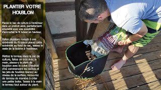 Présentation du kit du houblonnier de HOPSTOCK - culture du houblon en amateur