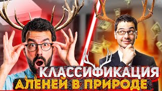 Классификация АЛЕНЕЙ в СОВРЕМЕННОСТИ 🦌 | Какие АЛЕНИ бывают…🦌