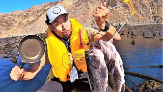 COOKING ON THE KAYAK! *Catch and Cook in the Kelp*