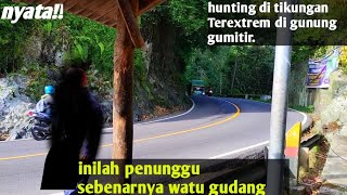 fakta sebenarnya tentang watu gudang!! hunting di tikungan tersempit di gunung gumitir.