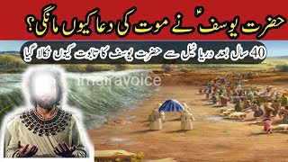 hazrat yousuf ne mout ki Dua kion mangi? | Hazrat Yousaf Ka Qissa | Islamic stories