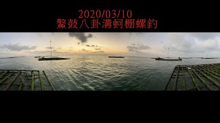 20220310 鰲鼓八卦溝蚵棚螺釣