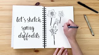 Daffodil Pen Sketches Tutorial