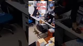 Ketika Biawak Masuk Kantor