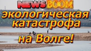 ОБМЕЛЕВШАЯ ВОЛГА.Очередная ЭКОЛОГИЧЕСКАЯ ПРОБЛЕМА!