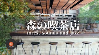 Ambient sounds + JAZZ Gentle forest coffee shop Relaxing work/study CAFE MUSIC - BGM for work