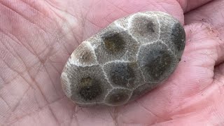 Rock hounding at Pier Cove / West Side County Park in Fennville, Michigan