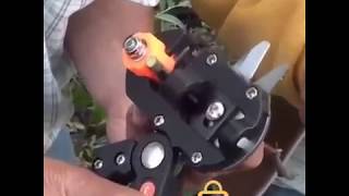 Tree Pro - Grafting Cutting Tool – Grauly.com