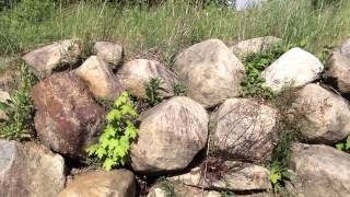 Glacial Erratics in Lake Placid, NY