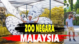 Biggest Zoo in Malaysia