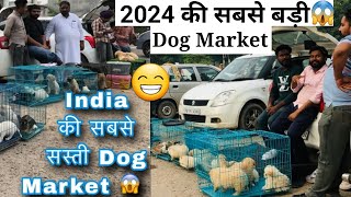 India की सबसे बड़ी Dog Market 😀#germanshepherd #Dog #pets #reels