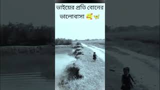 ভাই বোনের ভালোবাসার মতো আনন্দ কোথাও নেই/ #comedy #গান #comedysong #subscribe#comedysong #coaster