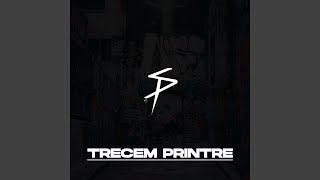 Trecem Printre (feat. David Skunk)