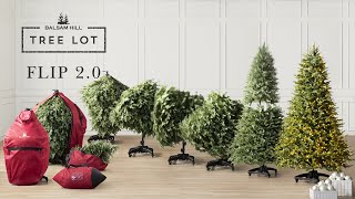 Flip 2 0 | Tree Lot