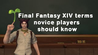 Final Fantasy XIV terms new players should know