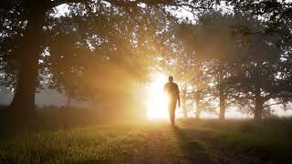 People Walking   Jogging   Beach   Free to use stock footage   No Copyright Videos