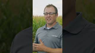 Who Should Use Starter Fertilizers? #agronomy #farming