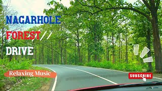 The Forest scenic drive 4K | Nagarahole National Park Karnataka | Nature drive | Indian Roads