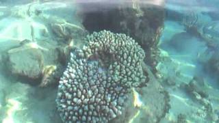 maledives - rannalhi adaaran island resort part 4