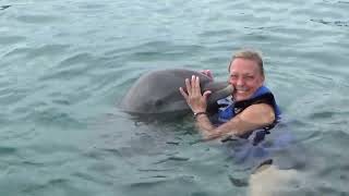 Dolphin Explorer in Punta Cana Dominican Republic