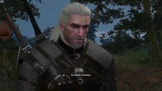 The Witcher 3: Wild Hunt Прохождение На ощупь