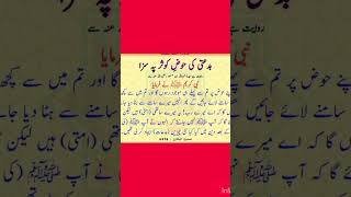 دین اسلام میں نئی نئی چیزیں ایجاد کر کے داخل کرنے والے کو بدعتی #quotes #ytshorts #islaminurdu