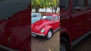 vw e vw #carroantigos #exposicao#kombicorujinha#fusca