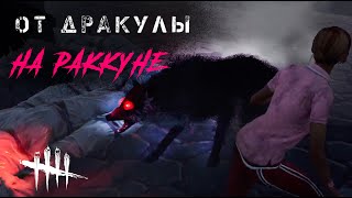 Против Дракулы на Раккуне (сервера Северной Америки) / Игра за выжившего в Dead by Daylight