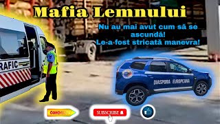 Mafia Lemnului! | Au incercat sa descarce surplusul de lemn dar nu le-a mers schema! | Video 103