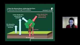 Meet the Researchers: Achieving Net-Zero - Capturing carbon through UK woodlands