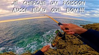 Je cherche en bord de mer un poisson aussi BEAU que BON 🤤