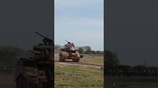 M3 Stuart light tank at Tiger day