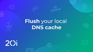How to clear your local DNS on Windows - 20i
