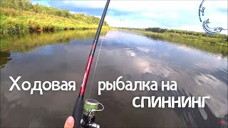 Ходовая рыбалка на спиннинг по реке /  Ловля щуки на воблер осенью/  Забродный костюм Norfin