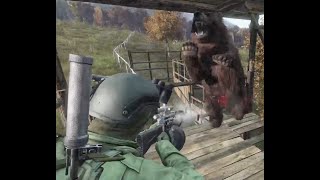 DayZ Xbox Bear Warz Bear Hunt: Kalinovka Village