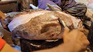 BIG GROUPER FISH CUTTING SKILLS IN FISH MARKET | FRESH FISH CUTTING SKILLS