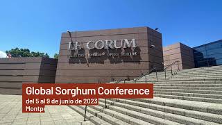 Global Sorghum Conference ES