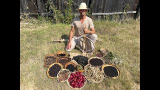 What's in a Texas forager's pantry in late summer?