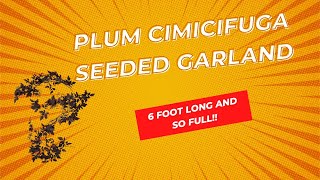 Plum Cimicifuga Seeded Garland - 6'